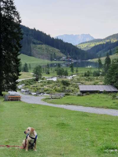 Wo macht ihr gerne Urlaub mit eurem Vierbeinern?-Beitrag-Bild