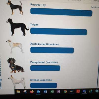 KRITIKOS LAGONIKOS-Beitrag-Bild