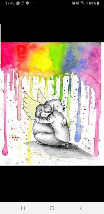 Unsere Fellnasen im Regenbogenland-Beitrag-Bild