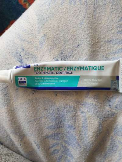 Welche Zahnpasta für den Hund könnt ihr Empfehlen?-Beitrag-Bild