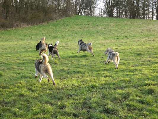 Fotochallenge 69-Beitrag-Bild