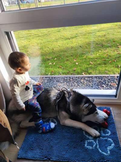 FOTOCHALLENGE 68: Dein Hund und sein bester Freund-Beitrag-Bild