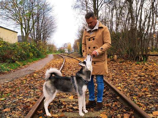 Zeigt her eure Junghunde :)-Beitrag-Bild