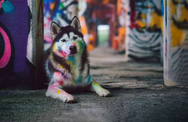 Lieblingsbild-Beitrag-Bild