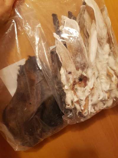 Windhunde - Treffen der besonderen Schönheiten
HERZLICH WILLKOMMEN-Beitrag-Bild