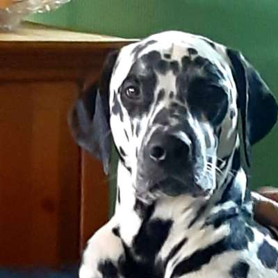 Fotochallange Nr. 57     PORTRÄT.   Beendet!!!!!!!!-Beitrag-Bild