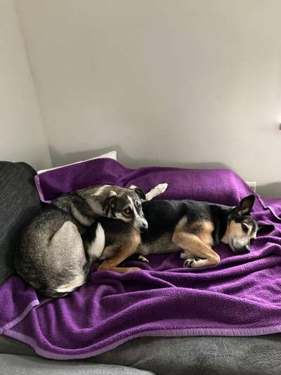 Verliebte-Beitrag-Bild