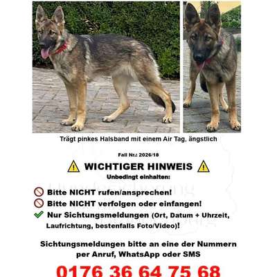 Suchmeldung-Pina-Bild