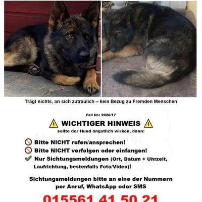 Suchmeldung-Xemmy-Bild