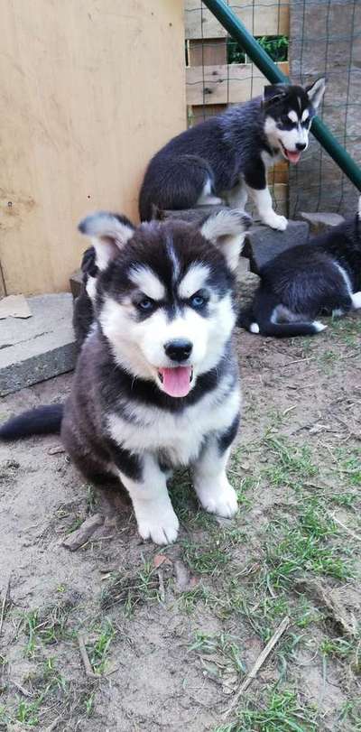 Das erste Foto-Beitrag-Bild