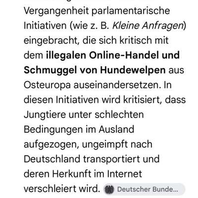 Politische Haltung als Ausschlusskriterium bei der Hundevermittlung?-Beitrag-Bild