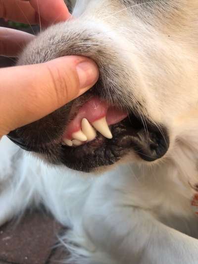 Könnt ihr mir helfen?-Beitrag-Bild