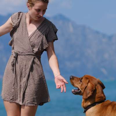 Pauline's Profilbild