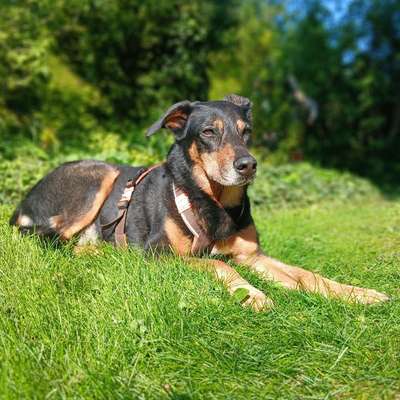 Claudia's Profilbild