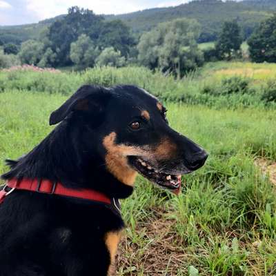 Claudia's Profilbild