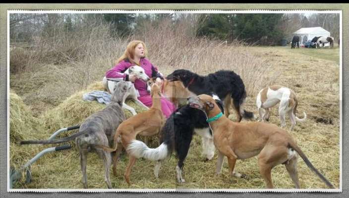 Die Dogorama Wochen Challenge "Friends will be Friends"-Beitrag-Bild