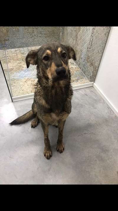 Moviestar-Pics!-Beitrag-Bild