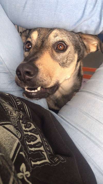 20. Handy -Foto-Callenge-Beitrag-Bild