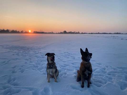 14. Farbenfoto-Challenge "Weiss"-Beitrag-Bild