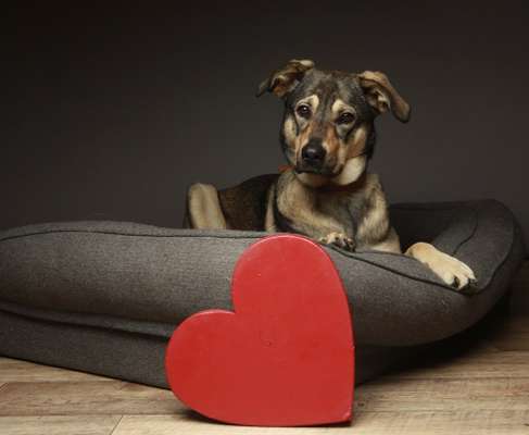 11. Farben Foto Challenge Rot-Beitrag-Bild