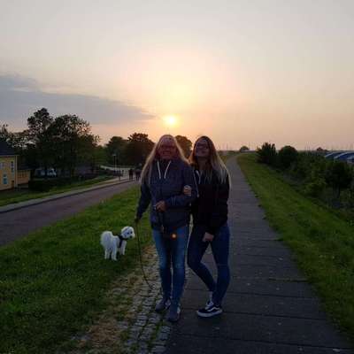 Hundetreffen-🐕🧸🐾