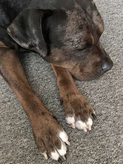 Außergewöhnliche Merkmale-Beitrag-Bild