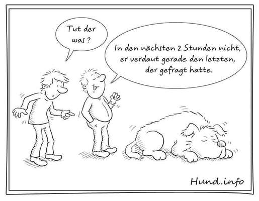 Hunde Memes-Beitrag-Bild