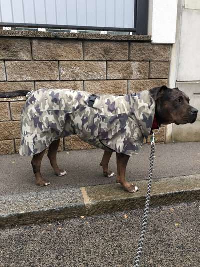 Was hat euch heute genervt?-Beitrag-Bild