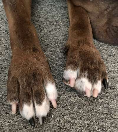 Außergewöhnliche Merkmale-Beitrag-Bild