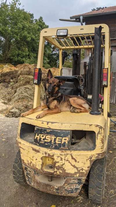 Erzählt eure Erfolgsstorys!-Beitrag-Bild