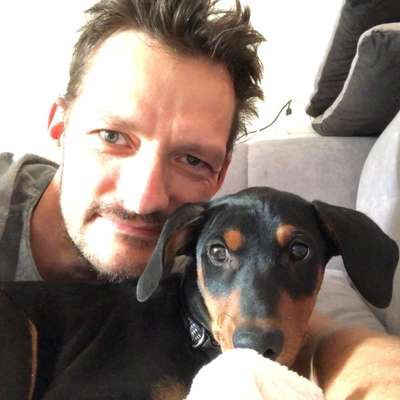 Hundetreffen-Rudelrunden :-)-Profilbild