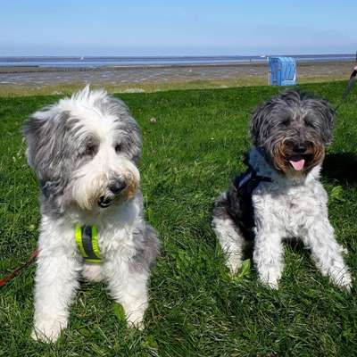 Kerstin mit Jacky 🌈 im ♥️ & Luna's Profilbild