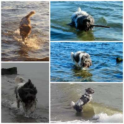 Eure schönsten Fotos mit Wasser-Beitrag-Bild