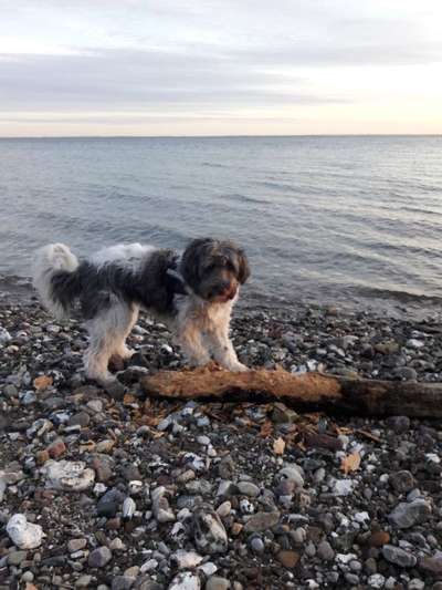 Eure Strandbilder :)-Beitrag-Bild