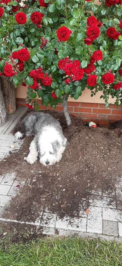 FOTO-Challenge  NR. 91: Die pure Entspannung-Beitrag-Bild