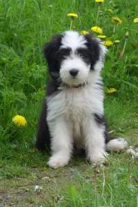 Foto Challenge 3-Beitrag-Bild