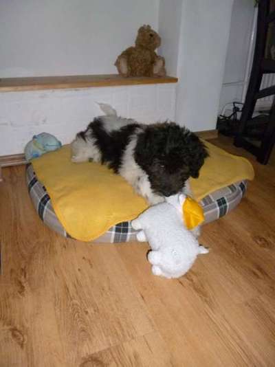 Foto Challenge 3-Beitrag-Bild