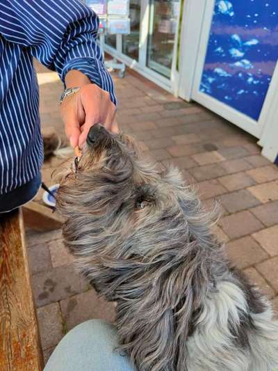 152. Foto Challenge: "Friss mir aus der Hand"-Beitrag-Bild