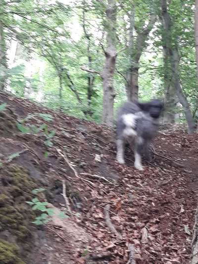 Un...scharf Bilder-Beitrag-Bild