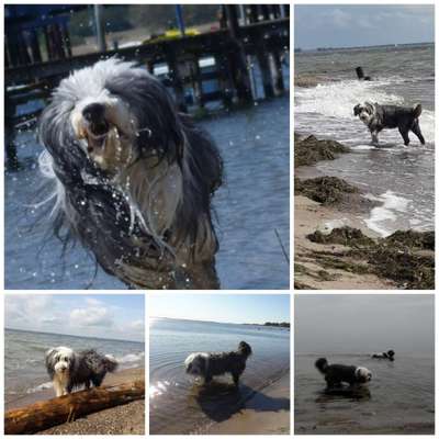 Eure schönsten Fotos mit Wasser-Beitrag-Bild