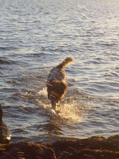 Foto Challenge - BEENDET - bitte aktuelle Challenge nutzen-Beitrag-Bild