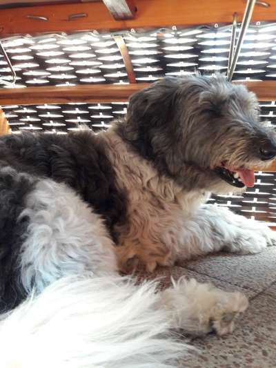 80. Foto  Challenge - Versteckt/ in einer Höhle-Beitrag-Bild