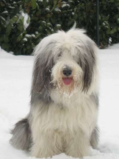 14. Farbenfoto-Challenge "Weiss"-Beitrag-Bild