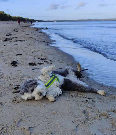 Foto Challenge - Zeigt her eure Bäuche-Beitrag-Bild