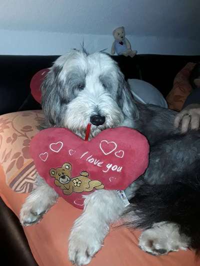 67. Handy Foto Challenge: Rotes Herz-Beitrag-Bild