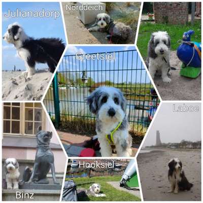 45. Collage Challenge - Lieblingsurlaubs/ Ausflugsziele-Beitrag-Bild