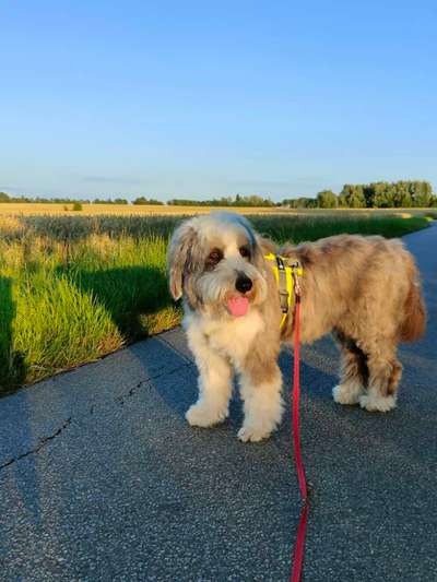 21. Farben / Foto Challenge - Neon / Leuchtfarben-Beitrag-Bild