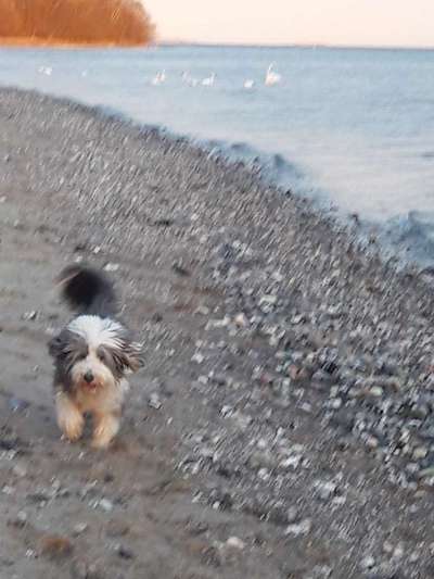 Un...scharf Bilder-Beitrag-Bild