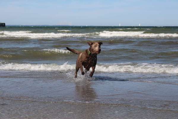 Fotochallenge No. 26                                     Wald und Wiese-Beitrag-Bild