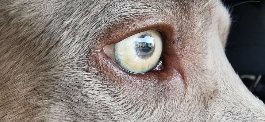 Blick fürs Detail!-Beitrag-Bild